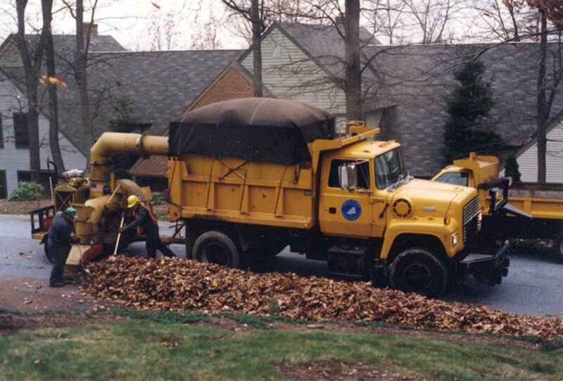 Leaf Collection, Derry Township